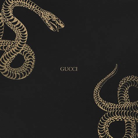 gucci snake without background|gucci wallpapers for desktop.